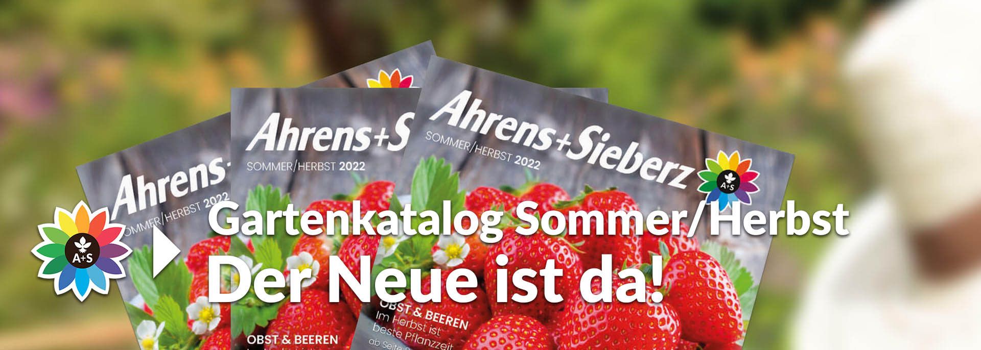 Ahrens + Sieberz Katalog