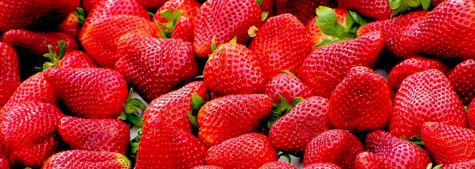Erdbeeren Vitamin